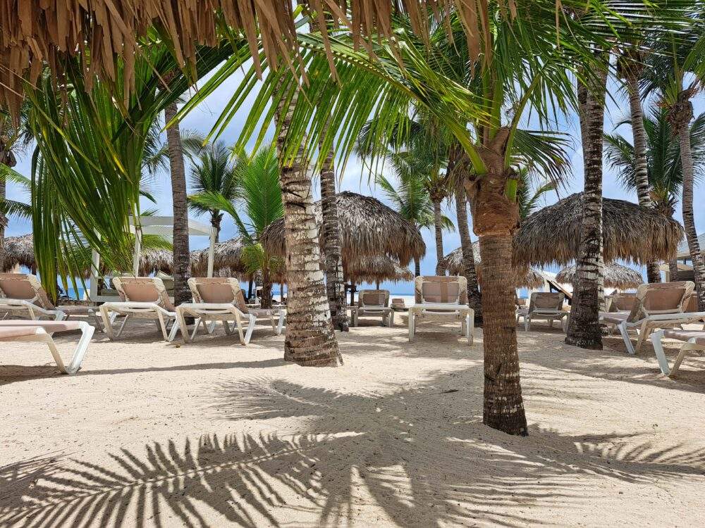 Dominicus